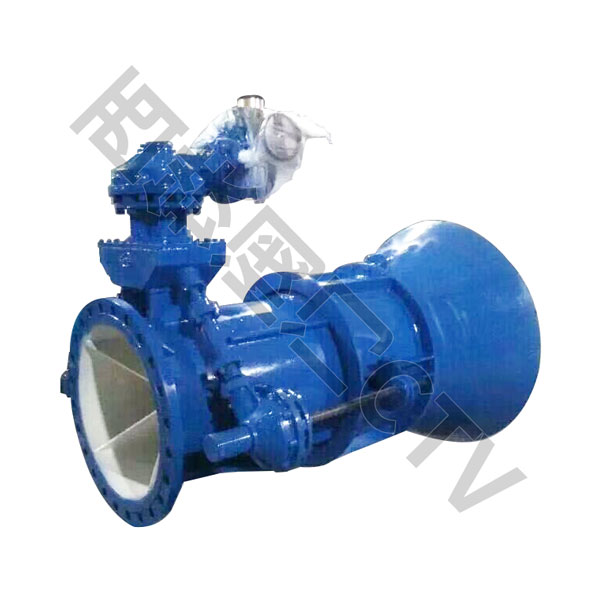 Fixed Cone Valve